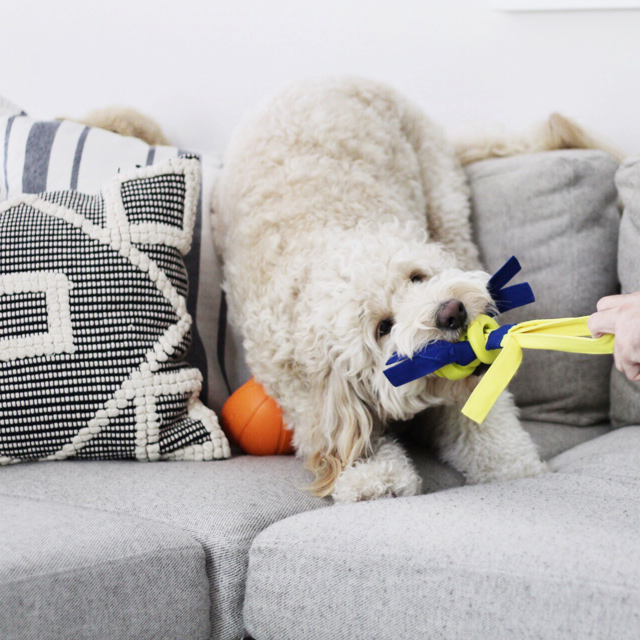 Nylabone Env Team - Ultra HD Mountain Wallpapers for Desktop